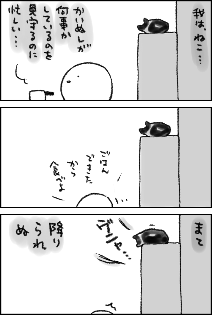 食器棚の上から 
