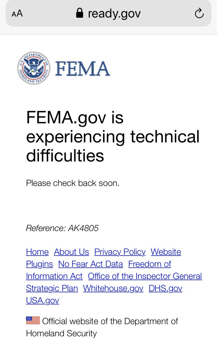 Anne DiGiovanna tweet media