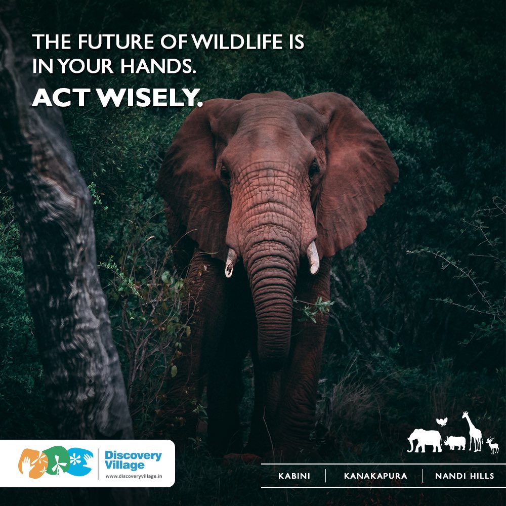 Innovation and technology are transforming our lives, but what about other species? 
Today is World Wildlife Day &amp; we want to discuss how we can sustain all lives on earth. What do you think we could do as responsible world citizens? 
#WorldWildlifeDay #Wildlife #ConserveWildlife