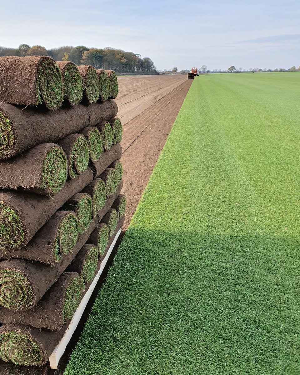 All Turf tweet media