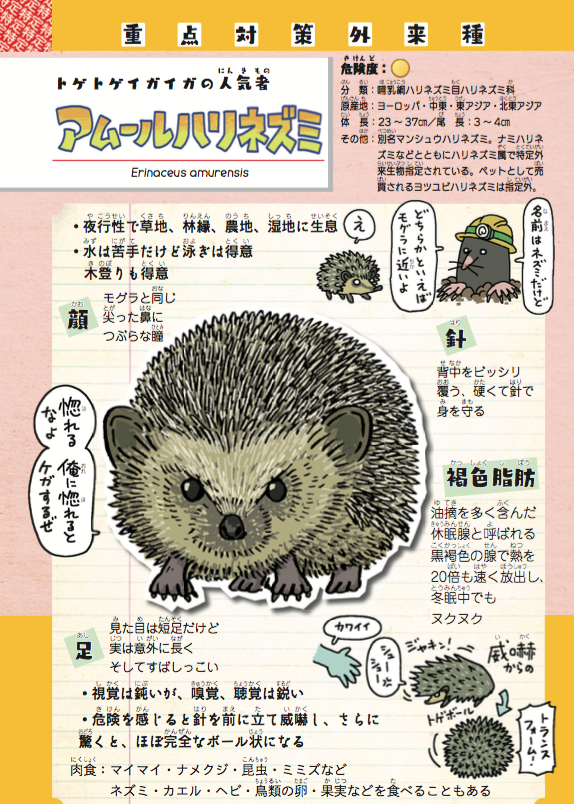 ハリネズミが #マツコの知らない世界 で取り上げられてるから、この際なのでハリネズミの外来種問題をご紹介。野外で撮影する際はマジで気をつけてほしい。

『侵略!#外来いきもの図鑑  もてあそばれた者たちの逆襲』https://t.co/I1NSzJmws8 