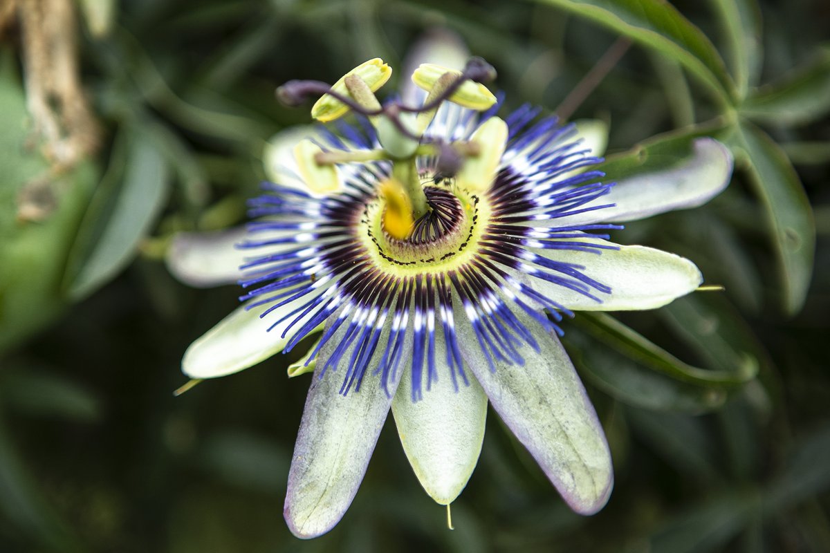 En 2013, la Asamblea General de la ONU estableció el 3 de marzo como Día Mundial de la Vida Silvestre. Este año se celebra bajo el lema "Garantizar el sostenimiento de la vida en la Tierra".
#ArgentinaUnida
