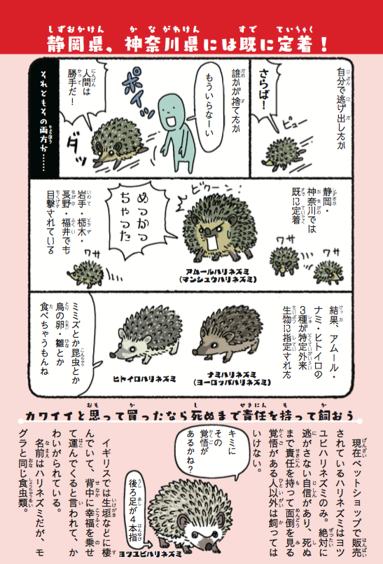 ハリネズミが #マツコの知らない世界 で取り上げられてるから、この際なのでハリネズミの外来種問題をご紹介。野外で撮影する際はマジで気をつけてほしい。

『侵略!#外来いきもの図鑑  もてあそばれた者たちの逆襲』https://t.co/I1NSzJmws8 