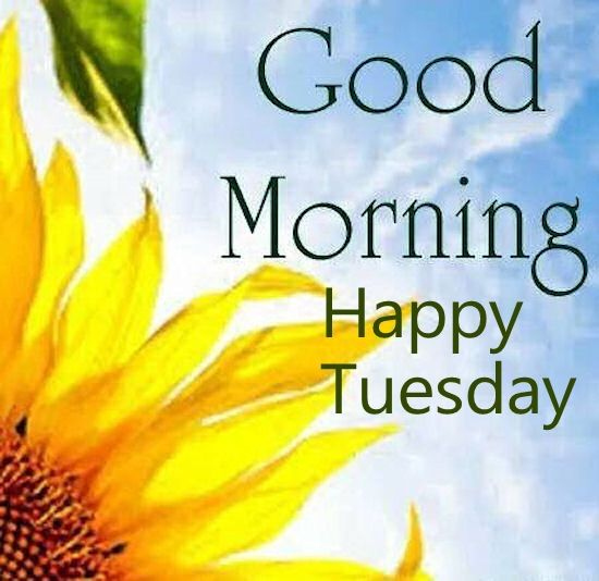 TeacupCosmetics's tweet photo. GOOD MORNING!
https://t.co/1PRm34INow

#blackownedbusiness #blackgirlsrock #blackexcellence #blackbusiness #gainesvilleblackbusiness #blackbusinessowners #blacksuccess  #buyblack #buyblackowned #supportblackbusiness  #blackwomeninbusiness #blackconnections #buyfromablackwoman https://t.co/evFiZ9l0eD