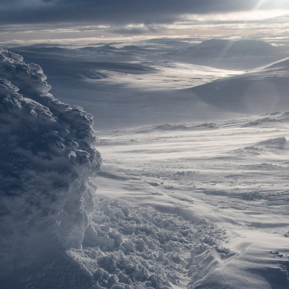 The view from a windswept Halti, the very top of Finland a few weeks back
👻
#adventurematters #skiexpedition #fellguide #wildernessguide #crosscountryskiing #nordictouring #lapland #käsivarrenerämaa #käsivarsiwildernessarea