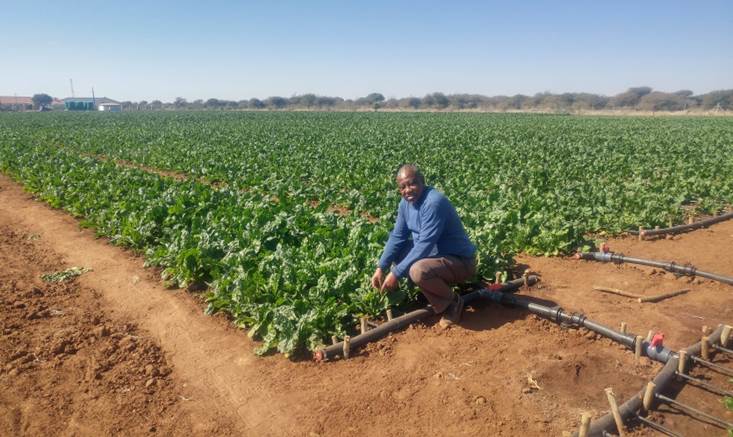 Dimakat01534283's tweet photo. @Julius_S_Malema CIC, let's establish a big vegetable project and name it after Koko Sarah Malema in honouring Her.....I'm a specialist in Mixed Farming, Training and Mentorship. https://t.co/Z6lYhLgG9N