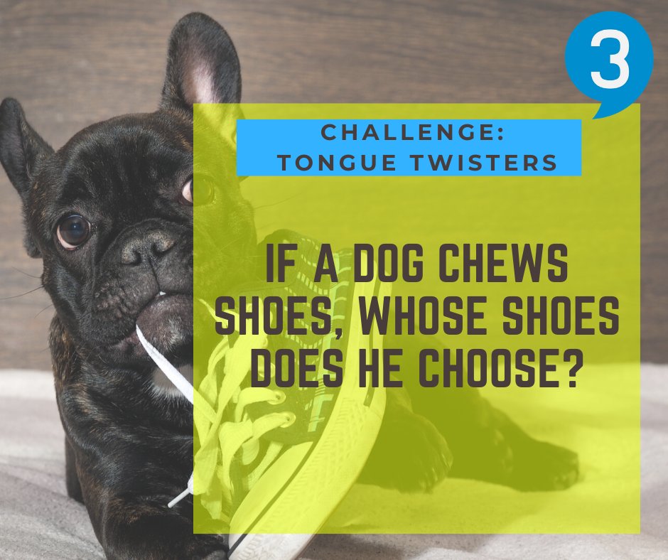 Studio3Alicante's tweet photo. Desafíate a ti mismo con este trabalenguas "If a dog chews shoes, whose shoes does he choose?". #dog #alicante #learnenglish #tonguetwisters https://t.co/NFu1F0ez3C