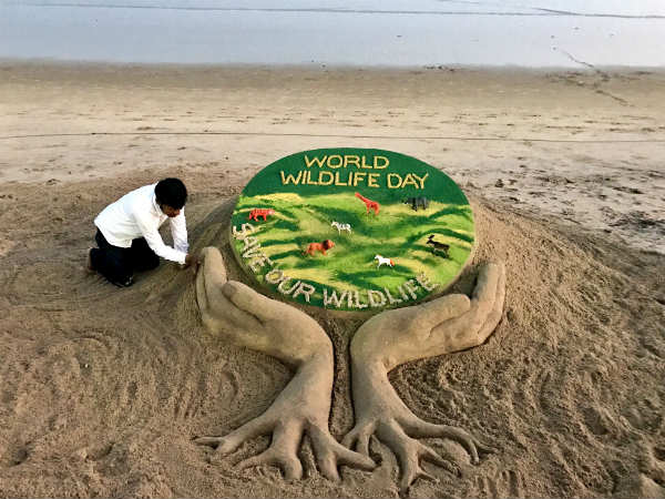 AAU_67's tweet photo. World Wildlife Day  

The theme of World Wildlife Day 2020, “Sustaining all life on earth”, encompasses all wild animal and plant species as a component of biodiversity as well as the livelihoods of people, especially those who live closest to the nature. https://t.co/GwoCZZfiBl