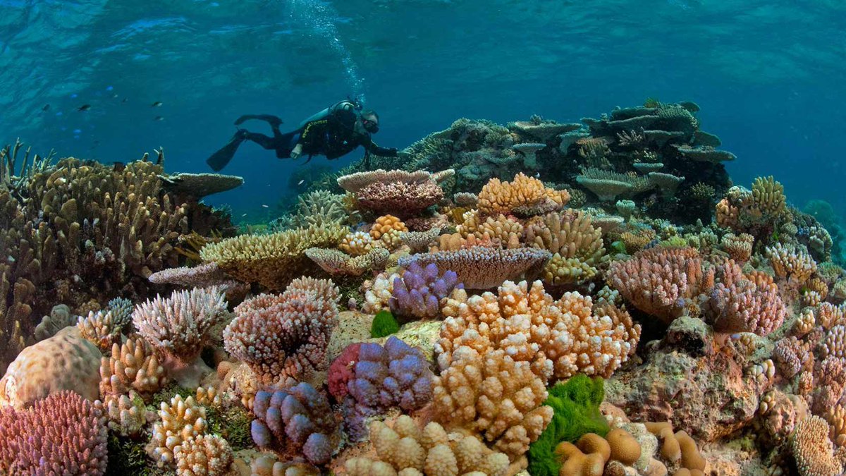 AAU_67's tweet photo. World Wildlife Day  

The theme of World Wildlife Day 2020, “Sustaining all life on earth”, encompasses all wild animal and plant species as a component of biodiversity as well as the livelihoods of people, especially those who live closest to the nature. https://t.co/GwoCZZfiBl