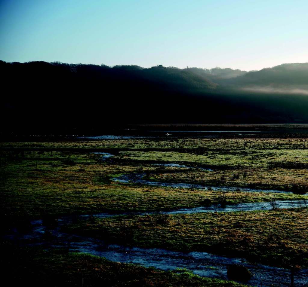 JUST PUBLISHED: European Environment Agency Report: Floodplains: a natural system to preserve and restore catchments.ie/floodplains-a-…