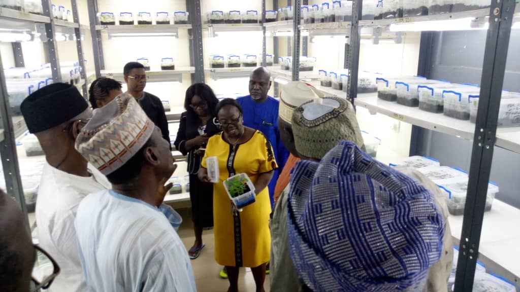 nrcri_umudike's tweet photo. Photos of NRCRI Board members led by the Chairman, Honourable Charles Chukwudi Ubah as they toured round the #NRCRI #BioSciences facilities including the #SAH laboratory, Tissue Culture laboratory, farms and the sites of on-going projects in the institute.
@FmardNg @OFABnigeria https://t.co/7X6DLOJpIg