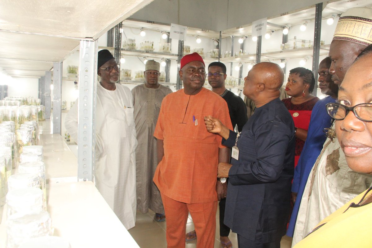 nrcri_umudike's tweet photo. Photos of NRCRI Board members led by the Chairman, Honourable Charles Chukwudi Ubah as they toured round the #NRCRI #BioSciences facilities including the #SAH laboratory, Tissue Culture laboratory, farms and the sites of on-going projects in the institute.
@FmardNg @OFABnigeria https://t.co/7X6DLOJpIg