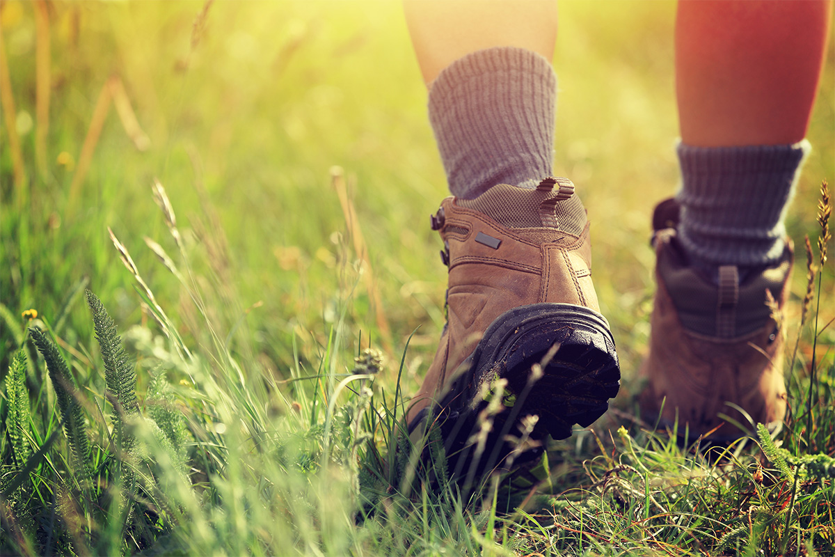 SuffolkCottHols's tweet photo. Celebrate the return of the #Suffolk #Walking #Festival @DiscoverSuffolk with £100 OFF all breaks taken during 9th - 31st May 2020 👣 Come on boots, get walking! https://t.co/KjpwcgeGag #Holiday #Staycation #Countryside https://t.co/AWjPgrf8iy