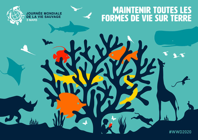 WCO_OMD's tweet photo. Rassemblez-vous pour célébrer la Journée mondiale de la vie sauvage et engagez-vous à #MaintenirTouteVie sur Terre
https://t.co/876iAhGZYZ
@wildlifeday @CITES @UNDP @UNEP @ICCWC
#WorldWildlifeDay #AgisAujourdhui #Biodiversité2020 #UtilisationDurable #PeuplesEtPlanète #OMD #Douane https://t.co/jOVMTryi2C