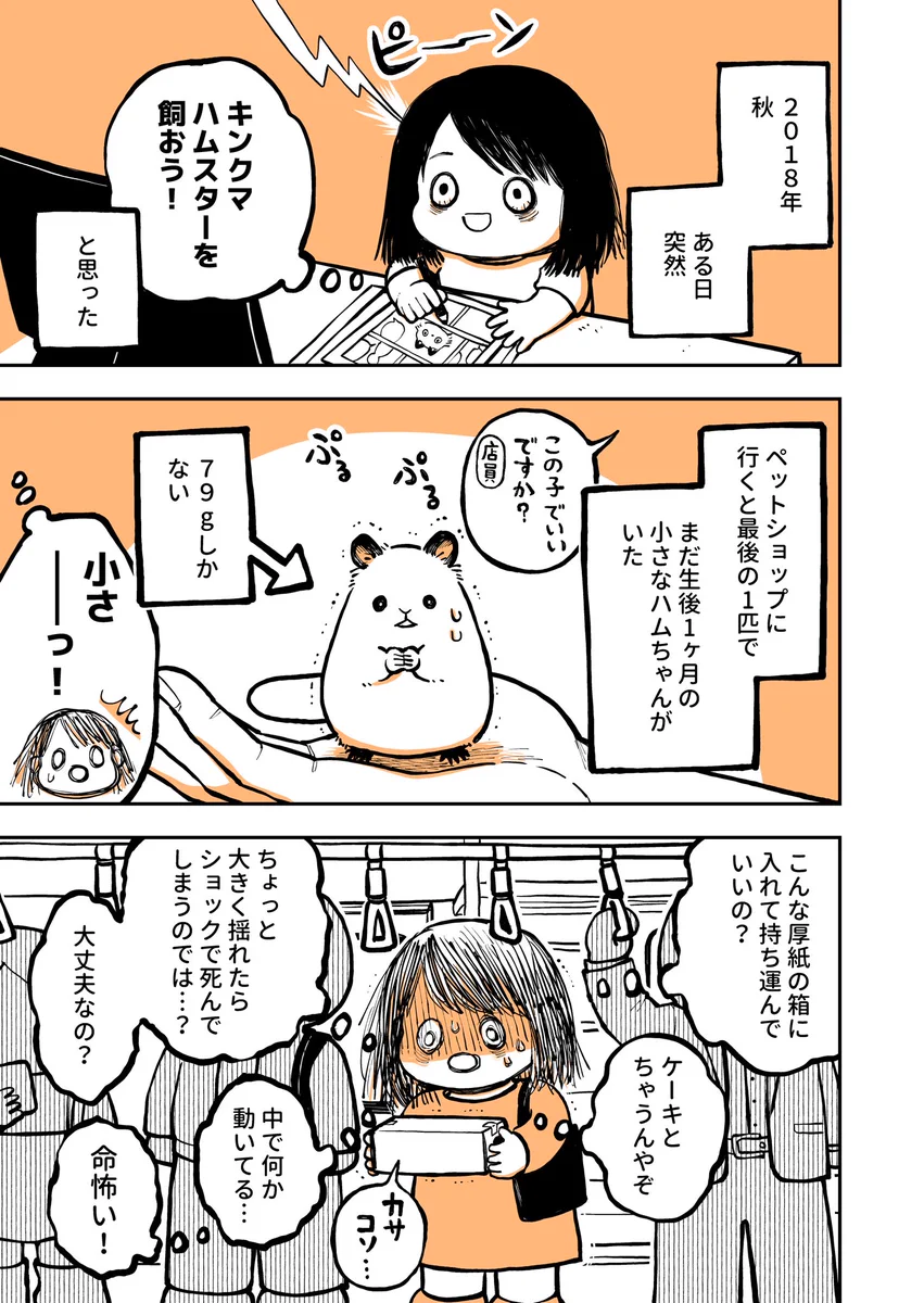 これから飼う人は参考になるかも？！ハムスターを飼い始めてびっくりしたお話！