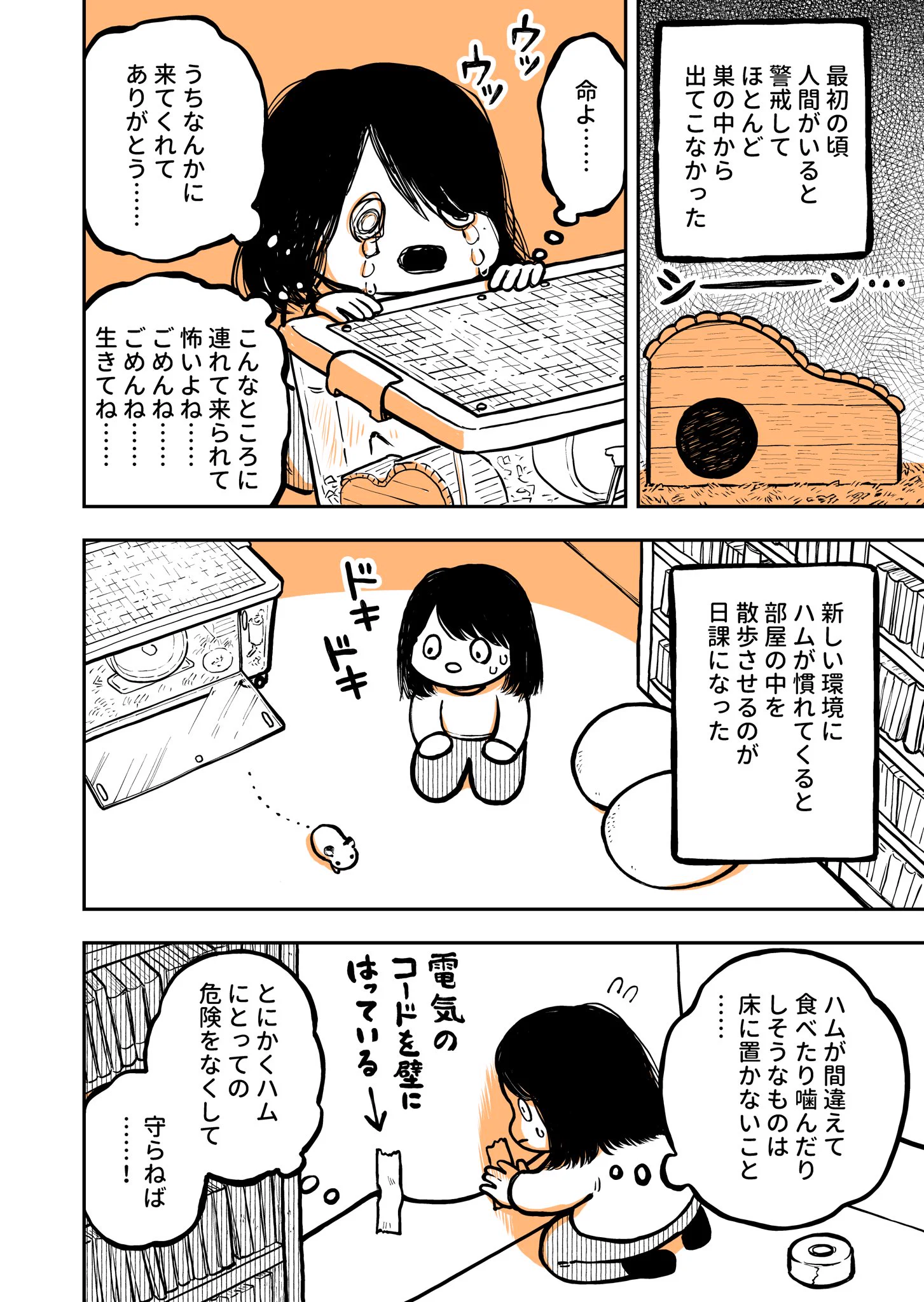 これから飼う人は参考になるかも？！ハムスターを飼い始めてびっくりしたお話！