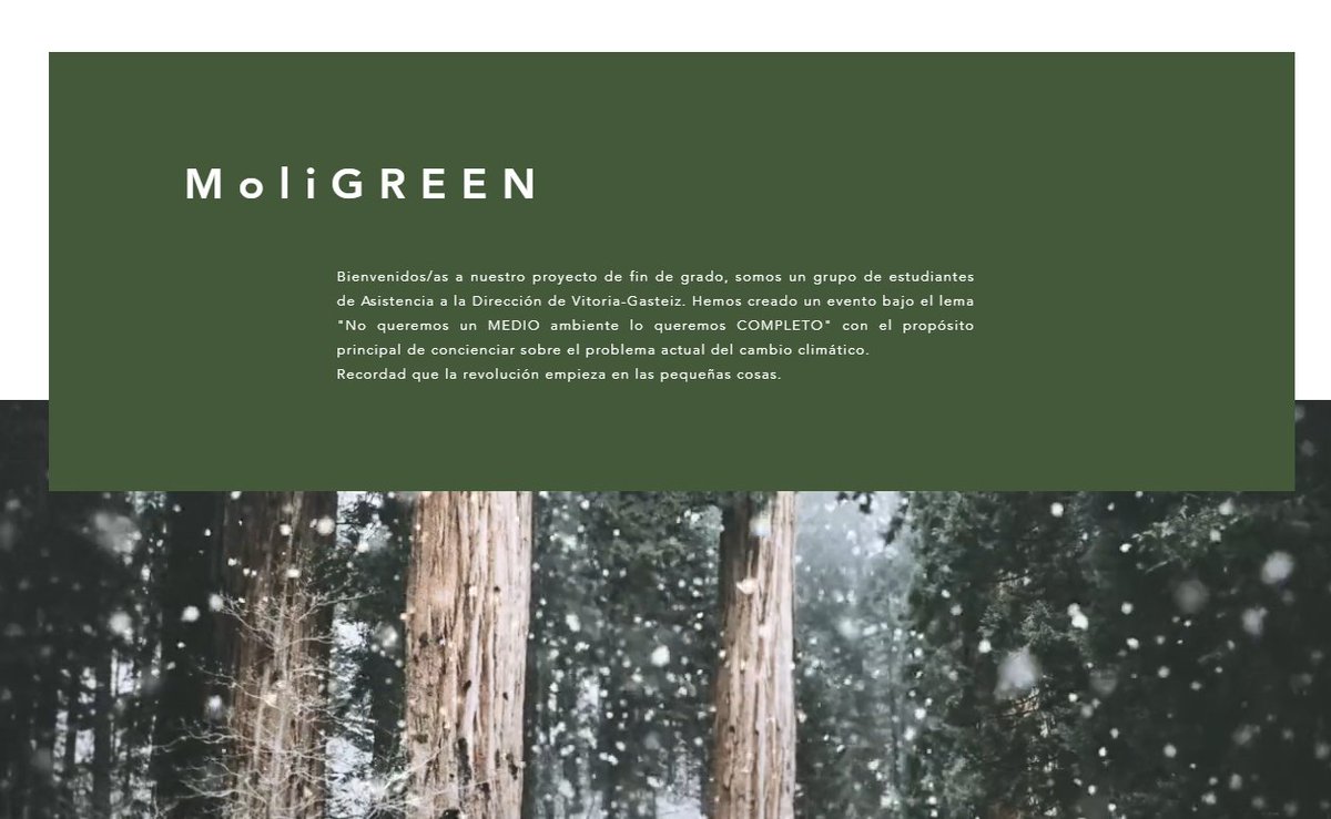 GreenMoli's tweet photo. ¿Habéis visitado ya nuestra página web?  
Os dejamos el enlace 👉🏽 https://t.co/6IGYyygQ11 https://t.co/upkzg09kOq