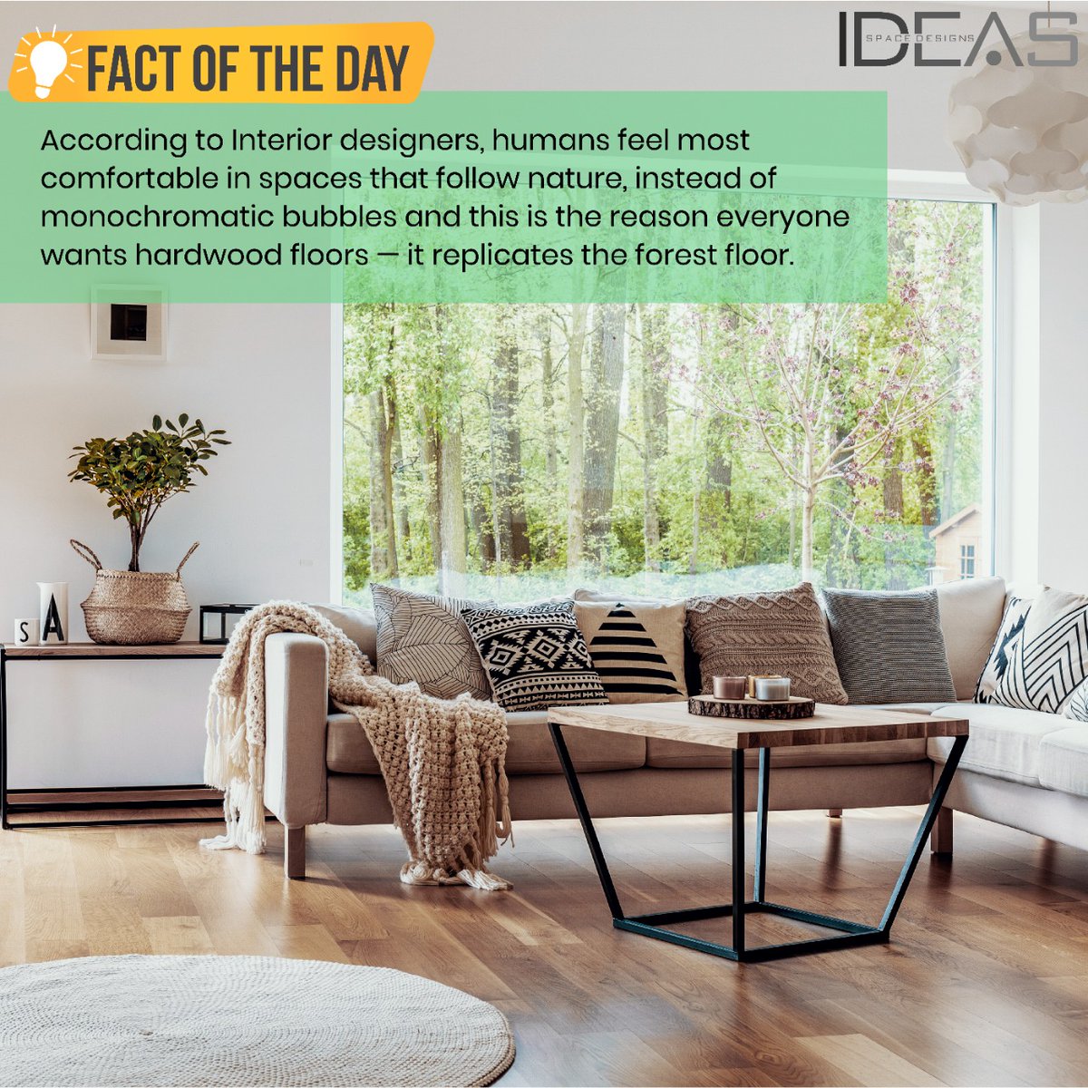 ideaspacedesign's tweet photo. Fact of the Day..!
#IdeaSapceDesign #Interiordesign #HomeDecor #Design #Interiors #aestheticinterior #fascinatingdesigns #Facts #IntrestingFacts #InteriorFacts https://t.co/G2MMFjTIiI