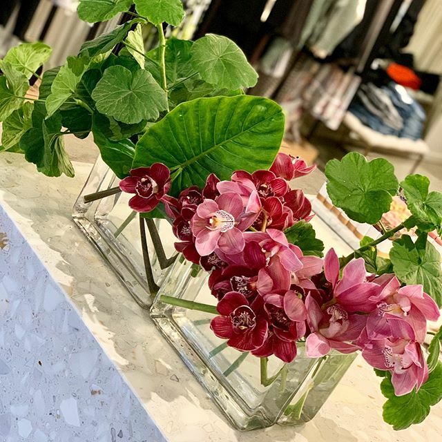 CAMELIA_AU's tweet photo. Fresh flower Tuesday’s from our super talented @serenekovacs https://t.co/Qpq1luCX4z https://t.co/A96vmZxrst