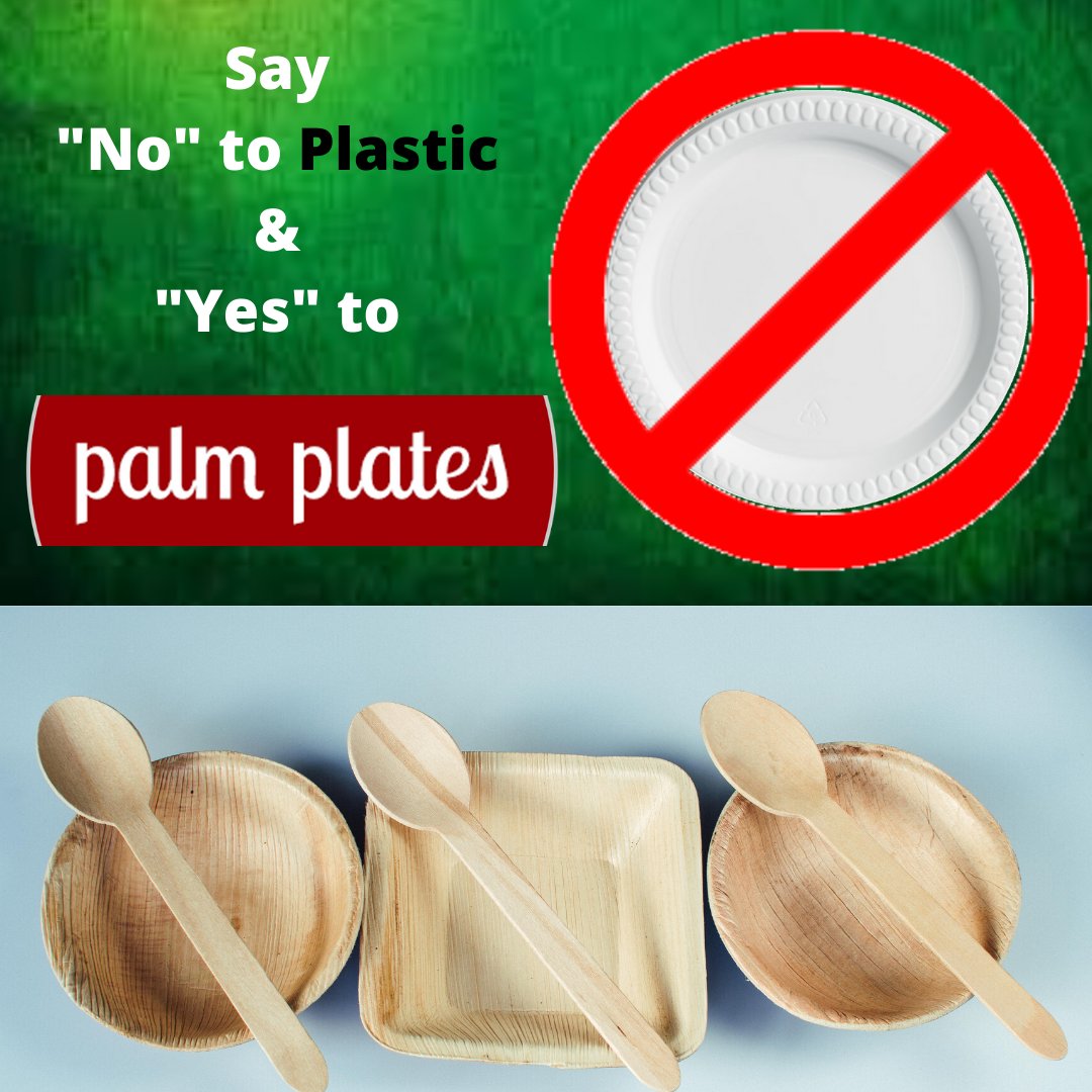 Let's take a step ahead " Say no to Plastic and say Yes to Palmplates

Visit:- palmplatesindia.com

Call now:- +91 8291626221

#savetheanimals #nature #disposableplates #weddingplates #partyplates #thanksgivingplates #servingplaters #disposableserving #Palmplatesindia