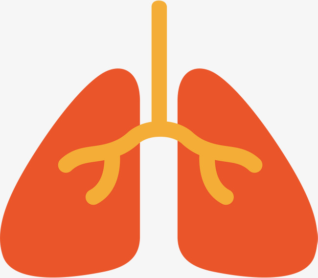 Your Health and Care Doncaster tweet media