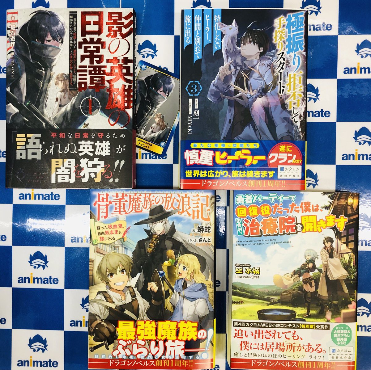 影 の 英雄 の 日常 譚