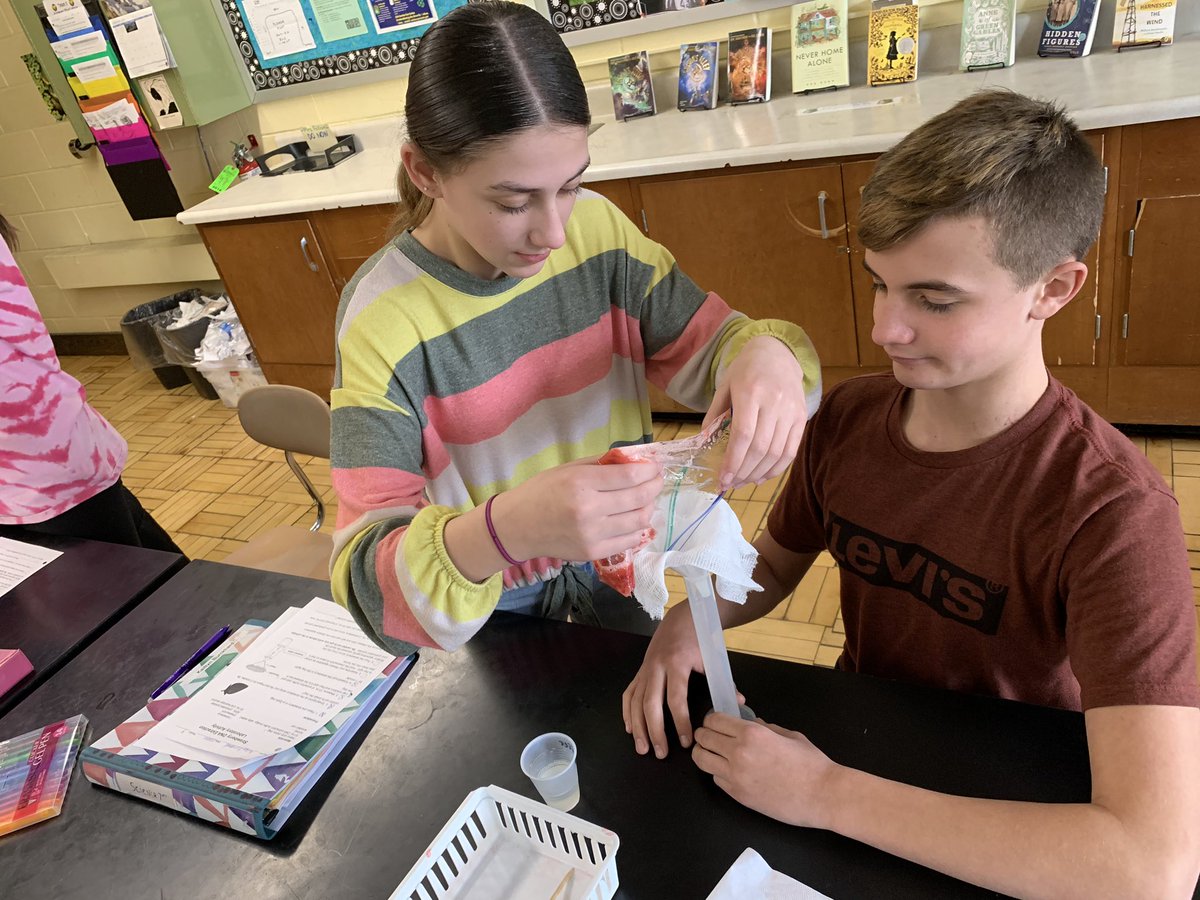 Team5LifeSci's tweet photo. Always forgetting to post our favorite labs. Extracting DNA out of strawberries last week. https://t.co/ltHs4FFjzo