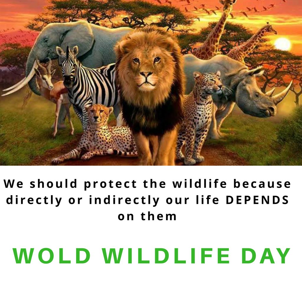 gajendramadhav's tweet photo. World Wildlife Day https://t.co/cS3n3kj0lM https://t.co/g87a6vaNDJ