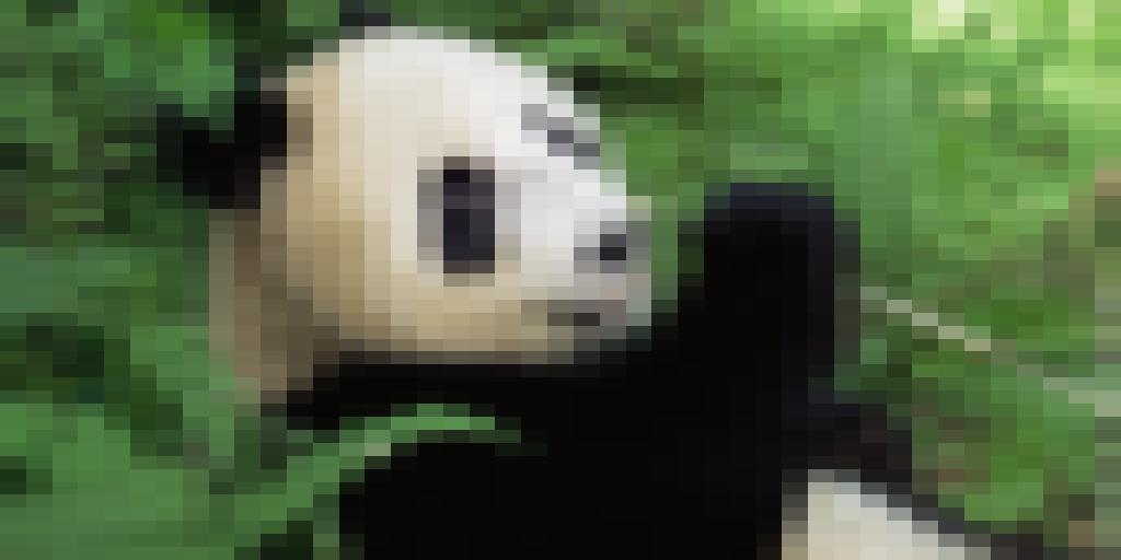 wwf_uk's tweet photo. Do these pictures look fuzzy? Each one is pixelated to represent the number of individuals of a species left in the wild. 💔 #WorldWildlifeDay https://t.co/bwYRs1QXyh