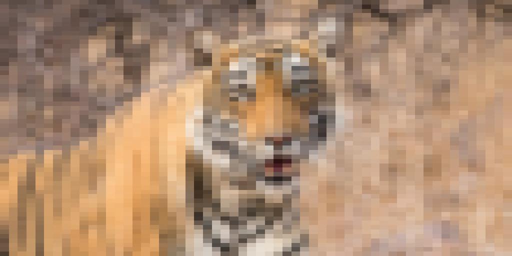 wwf_uk's tweet photo. Do these pictures look fuzzy? Each one is pixelated to represent the number of individuals of a species left in the wild. 💔 #WorldWildlifeDay https://t.co/bwYRs1QXyh