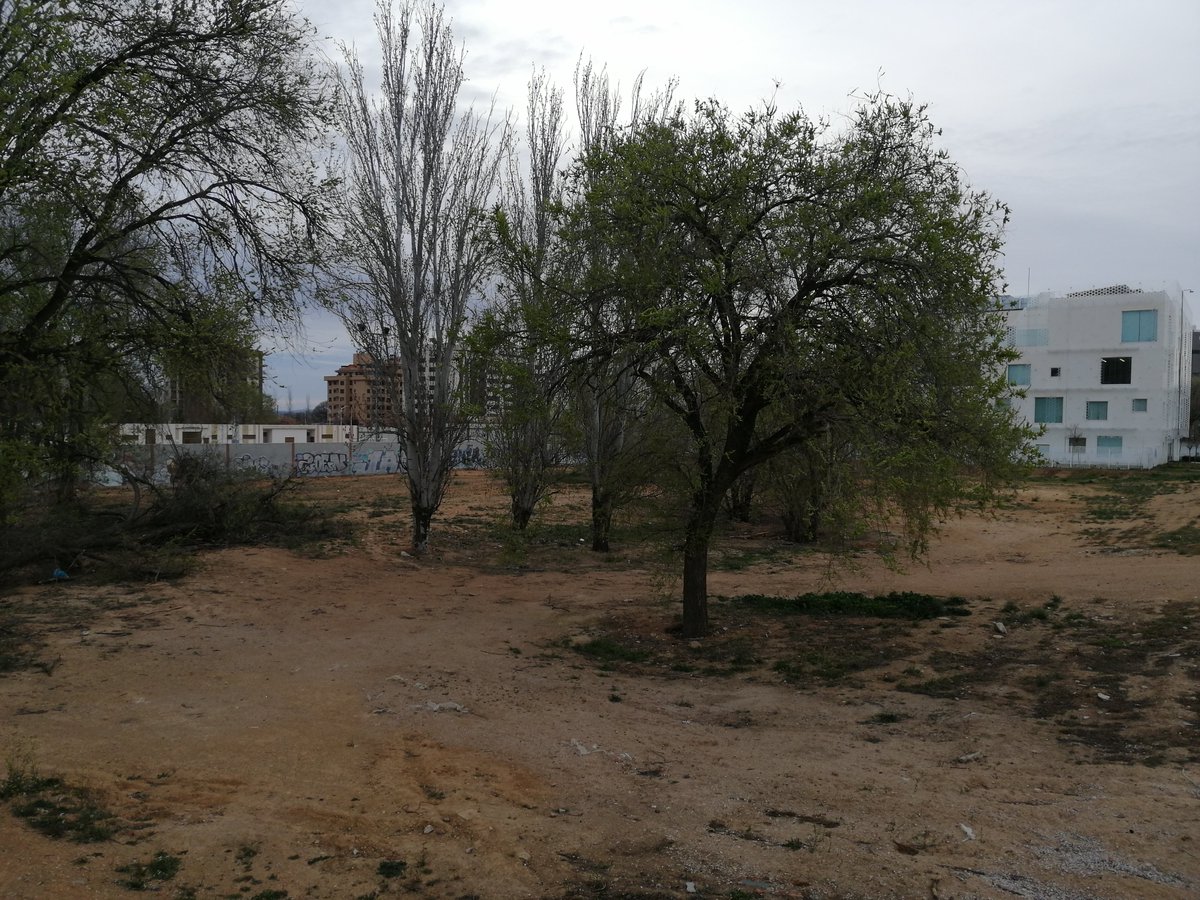 jmanuelgarrido's tweet photo. Estaría genial un buen mantenimiento y un uso tipo #huertourbano #jardíninfantil #pipican al solar del Paseo de la Cuba junto @EmpresariosFEDA
@Vicente_Casan se beneficiarían colegios, institutos y asociaciones vecinales #favaalbacete #Albacete #solarestristes #ciudadsostenible https://t.co/2a26efZfLc