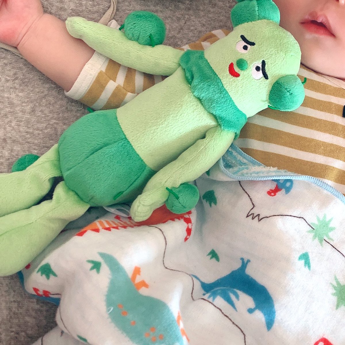 いとふみ 変えてみたこと 添い乳ねんねをやめる お昼寝の時間を 本に書いてるオススメ通りの時間に変更 抱っこ しやすい小さいぬいぐるみを用意して ねんねのたびに一緒に居させる 今日は偶然かもだけど もし明日もちゃんと寝るならこれらの効果