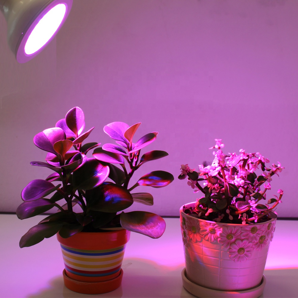 LedHaoyang's tweet photo. How often do you chat with your plants and fruits?
Knowing what they need, like we know what we need.
Feel free to let us solve your issues, you can contact by:
xch@haoyangled.com
#horticulturallighting #horticulture #plantlights #growlights #wavelength #haoyangled https://t.co/0eOqcRfCfL