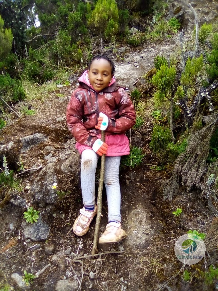 BMichoma's tweet photo. Our youngest hiker yet! 
@KenyaTopTweets @TembeaAfrica @citizentvkenya @ntvkenya @CNNAfrica @KTF_Kenya @KTNNewsKE https://t.co/3ugQlXN7KJ