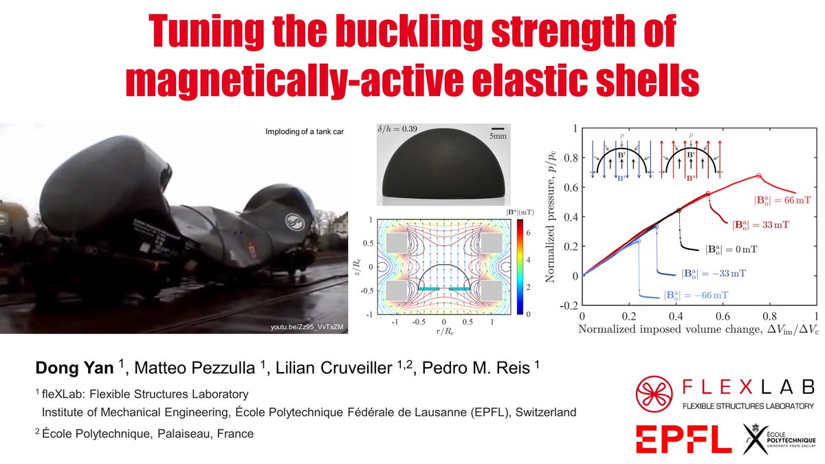 DongYan_Mech's tweet photo. (2/3) By adjusting the polarity and flux density of the applied external magnetic field, the buckling strength of our magnetically-active shells under pressure loading can be increased or decreased, on demand by up to +/- 30%. https://t.co/j6WGvxNA2Y