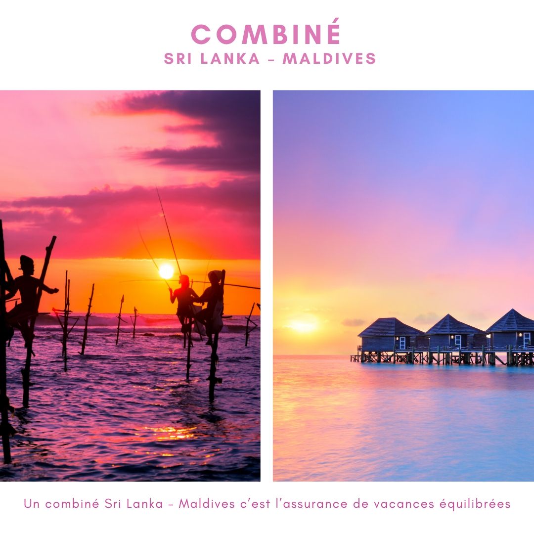 Combiné Sri Lanka – Maldives tout confort
Votre combiné au Sri Lanka-Maldives | 13 jours
💶À partir de 1350€/p.

➡️sri-lanka.nouvini.com/combine-sri-la…

#nouvini #voyage #combine #srilankamaldives