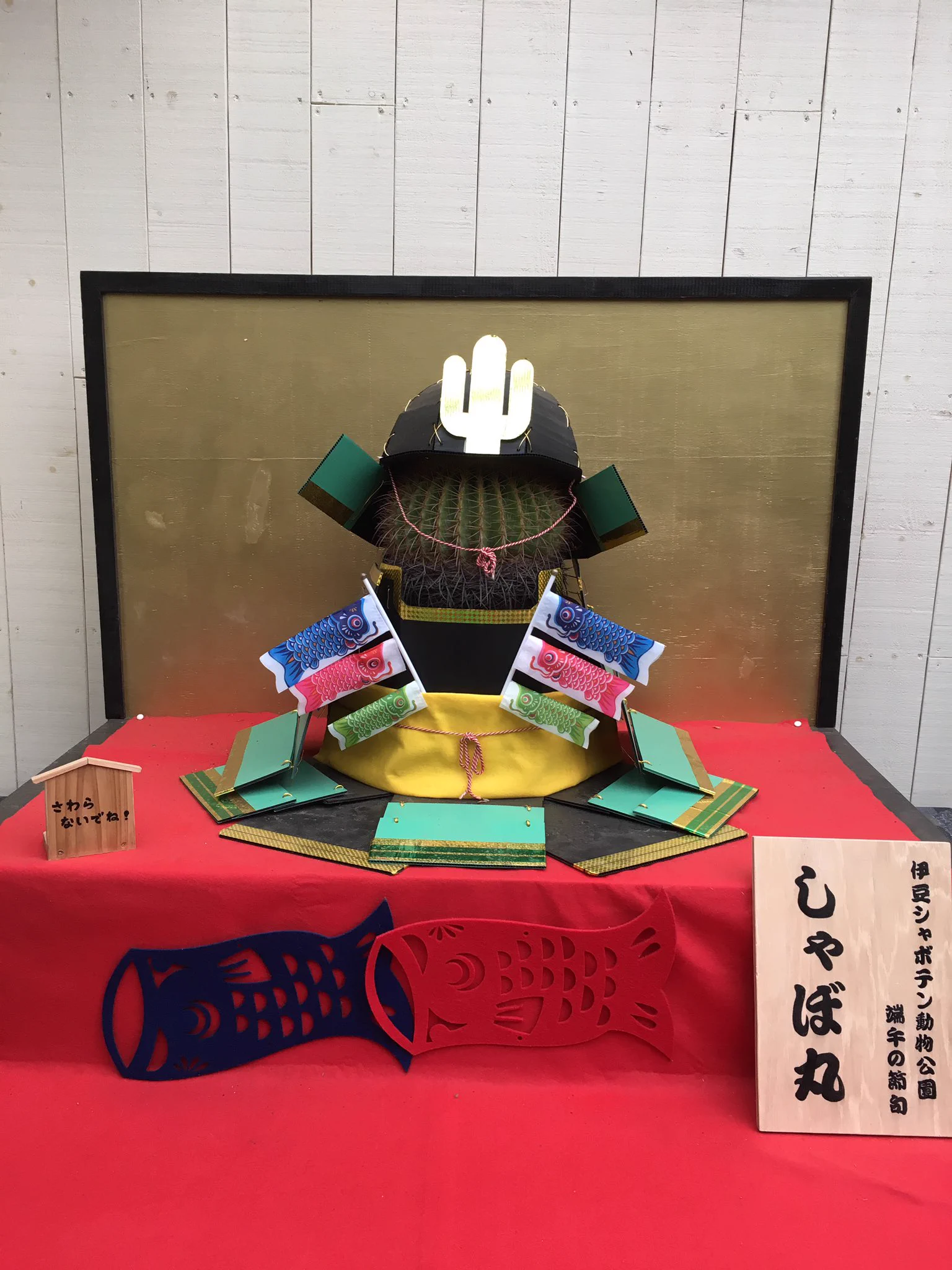 @se1k1ma2_ 端午の節句も素敵でしたよ🎏 