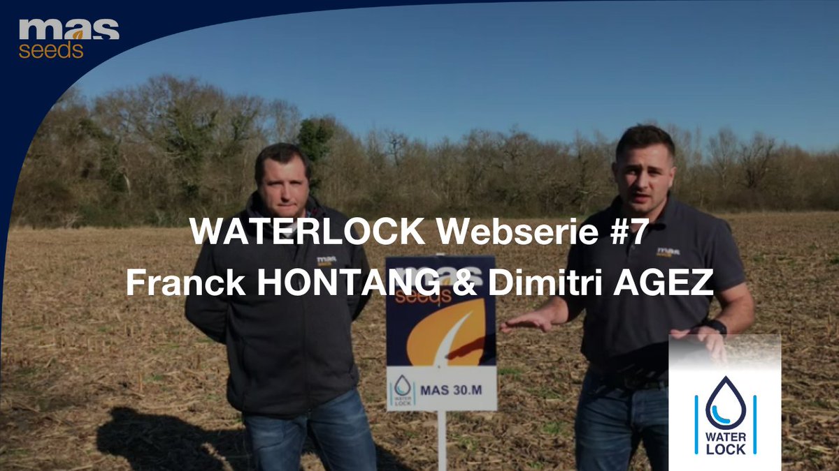 MASseedsfrance's tweet photo. The 7th episod of Waterlock webserie with @HontangFranck is online !

#MAS30M, example of grain #Corn #Waterlock hybrid used in France to ensure good yield, even in case of unpredictable drought. 

To watch the video : https://t.co/vSGHFz7GG9 🌽🎬 https://t.co/Lkywqnb80e