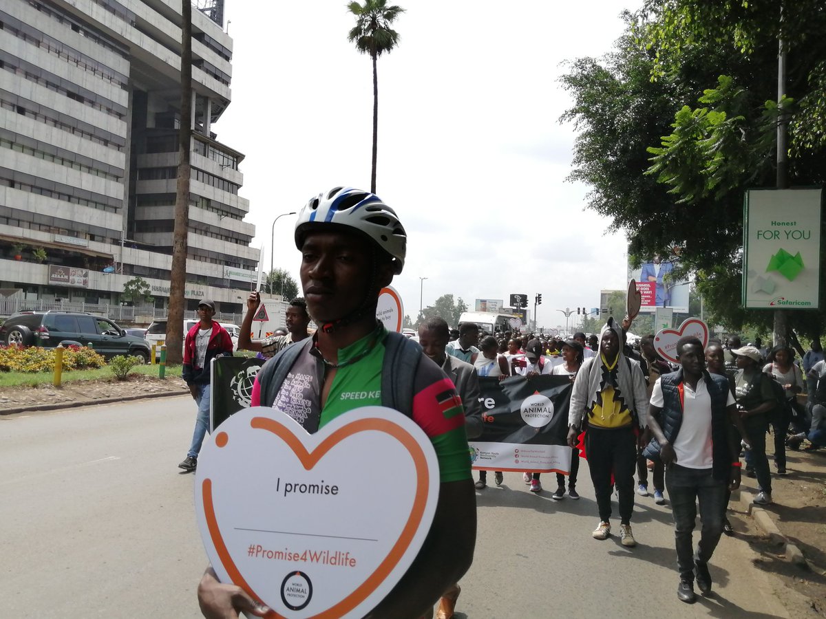 MianoJN's tweet photo. For the love of animals, for the commitment to advocate for the animal welfare, today we make a #Promise4Wildlife. Join us via https://t.co/W2frgL8h4Q.
#WorldWildlifeDay2020 #WorldWildlifeDay @MoveTheWorldAF https://t.co/vifGFsvxiL
