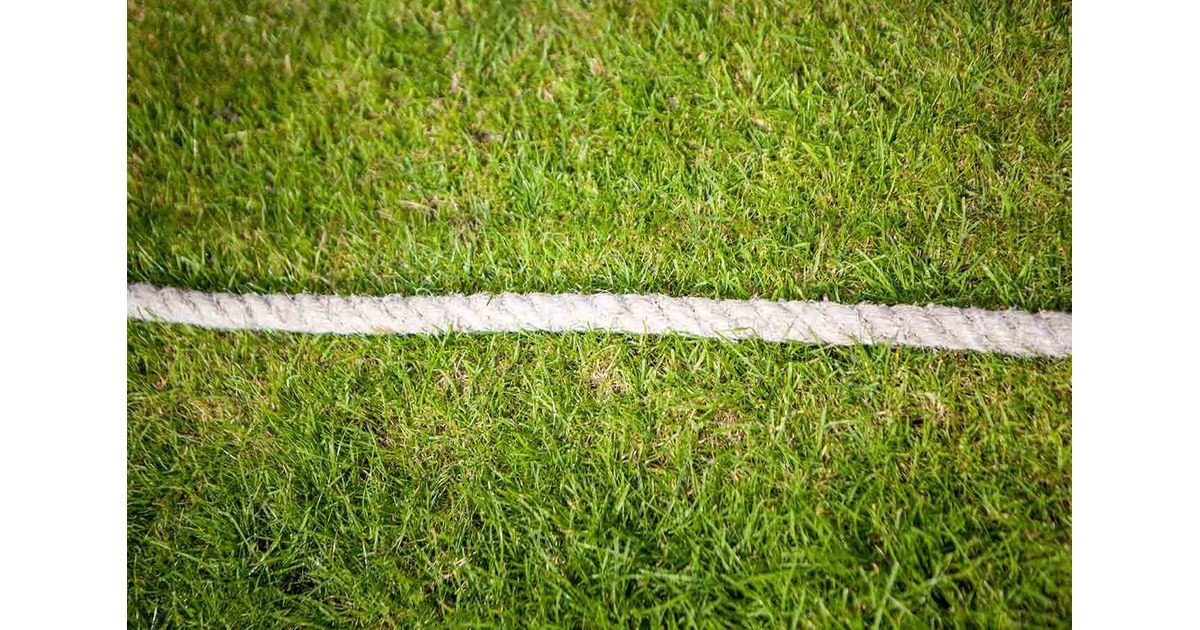 Bardwell Cricket tweet media