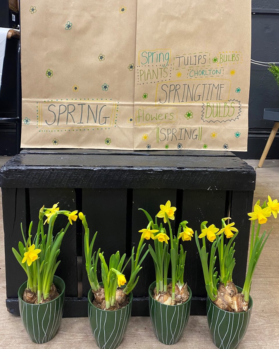 RodgersFlorist's tweet photo. When you think of Spring, it's hard not to think of daffodils! With Narcissi the birth flower of March, they are perfect to add a pop of colour 🏵️ #daffodils #narcissi #springflower #spring #manchesterflorist https://t.co/Sx1vNukMpM