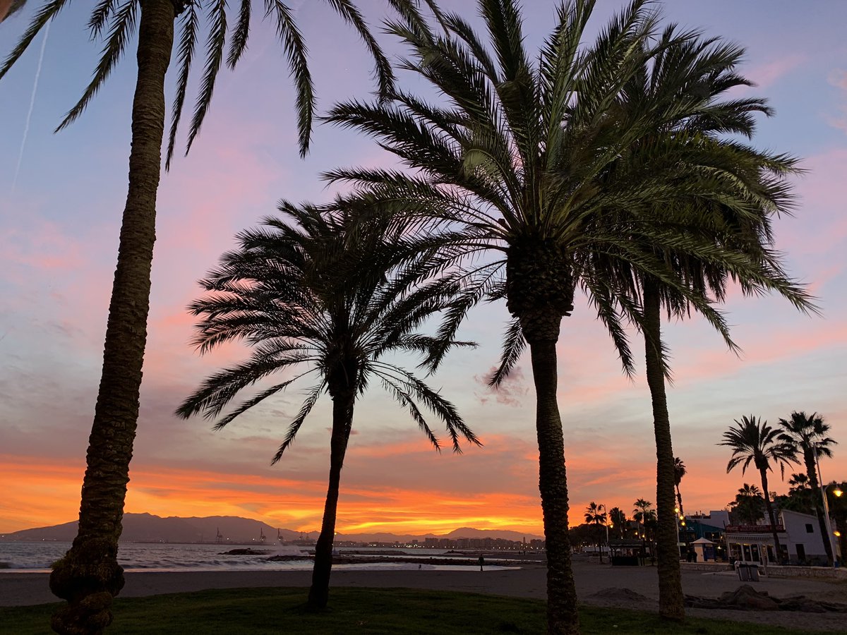 anaminmar11's tweet photo. 😍🏝#Pedregalejo #MiBarrio #SinFiltro #Atardequenoespoco ⏳ https://t.co/Ui2ZXH6mMl