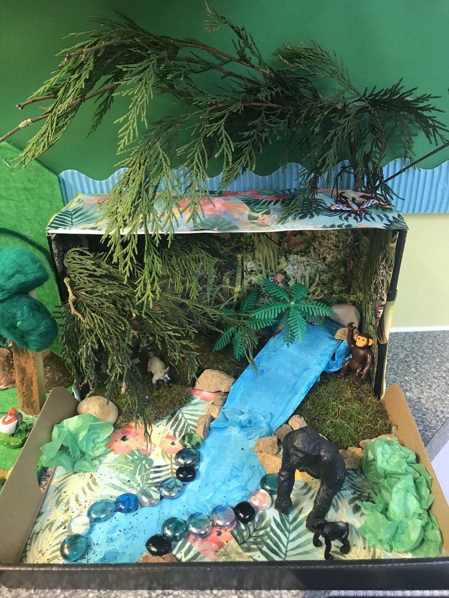 stjoesdroitwich's tweet photo. Our Year 6 have been studying biomes and different habitats and ecosystems. They were asked to create a biome at home over half term. Here are some of their spectacular results! #creativeworking #scienceinschool https://t.co/lI4E8CzNGE