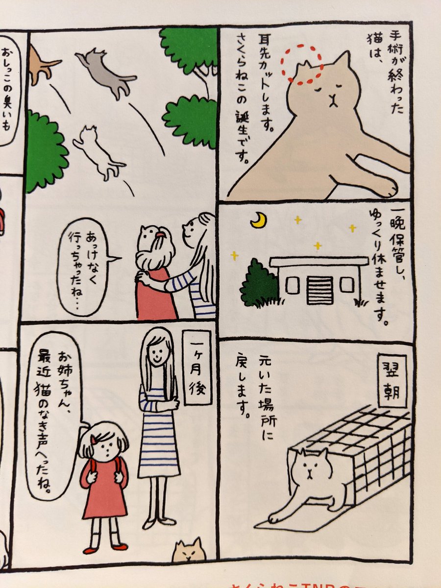 もらったTNR冊子の漫画のこのページの2コマ目から3コマ目は良くなくて、メスの場合はリリース翌日とか無理なので家で3日くらい療養させる必要があるのが大変。あと不妊の手術費は自己負担という部分に一切触れてないのが良ろしくない 