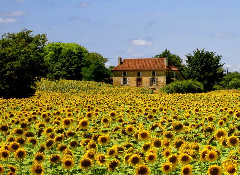 Why #Gascony should be on your "France Must See" list. We agree! Via <a href="/lifefrance/">The Good Life France</a>

bit.ly/2ThioqU