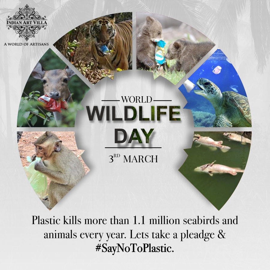 Plastic kills more than 1.1 million seabirds and animals every year. On this World Wildlife Day, let's take a pledge to support &amp; conserve our wildlife by saying no to plastic. 
#WorldWildlifeDay #wildlife  #animals #wildlifeconservation #wildlifepalnet