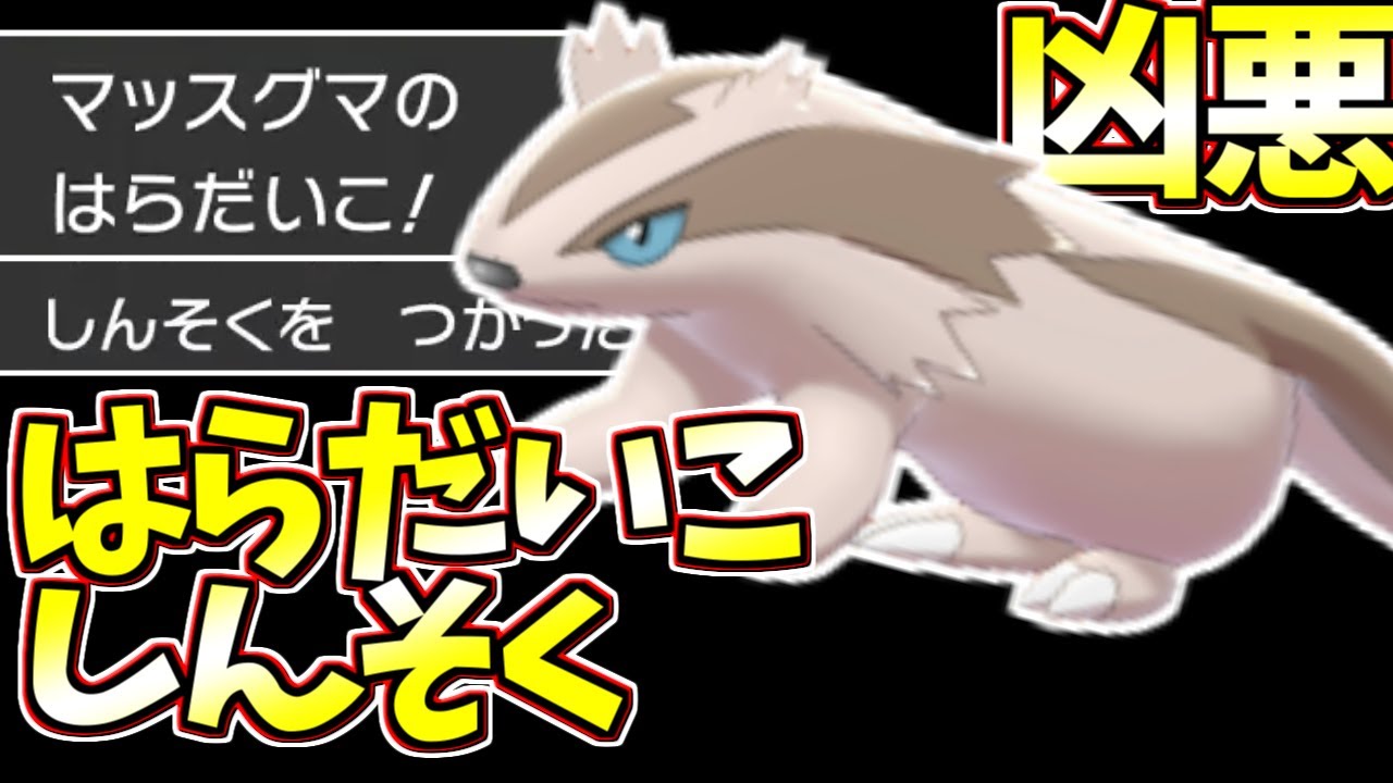 このえポケモン支部 禁断の技 はらだいこ しんそくを使うマッスグマの原種が解禁 先制技無双できるらしい ポケモン剣盾 対戦実況 T Co Qhpz1kxwgl T Co Cpbxgbxqu8 Twitter