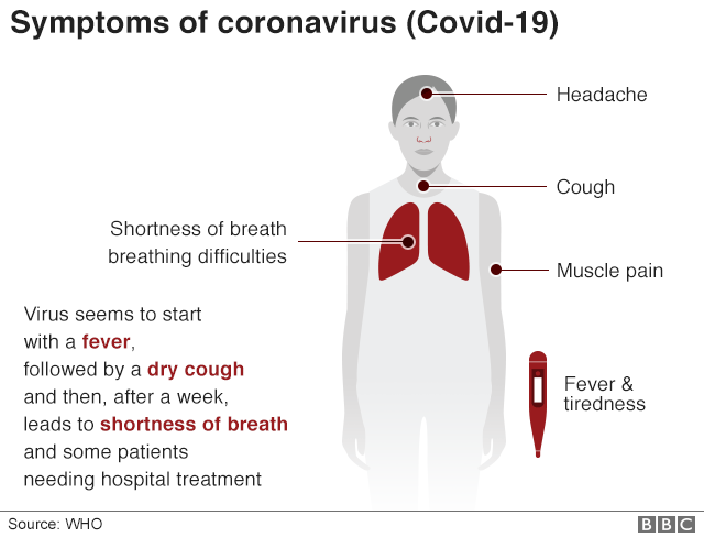 BNergetics's tweet photo. What is the New Coronavirus and what are the symptoms? https://t.co/ZPeigsqhZg https://t.co/1OId9E7etK