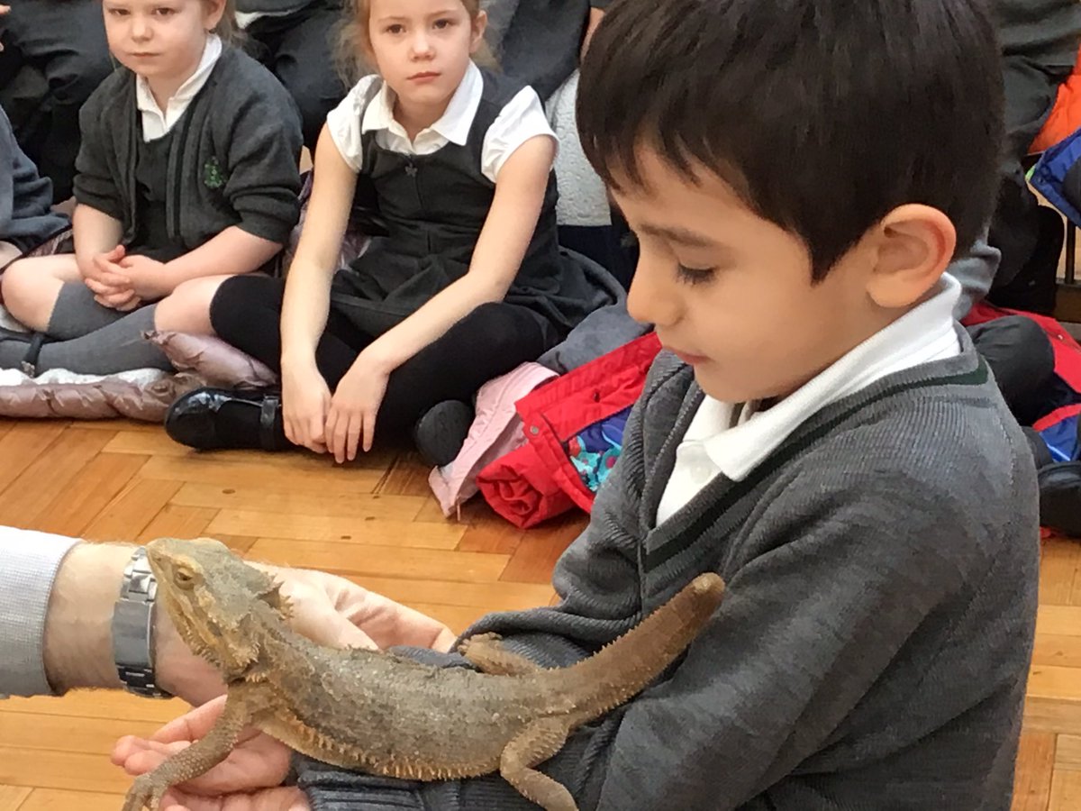 Deansfieldsch's tweet photo. RT introduction to creatures from around the world #understandingourworld #brave #fascinating https://t.co/I8Nb8MLvRL