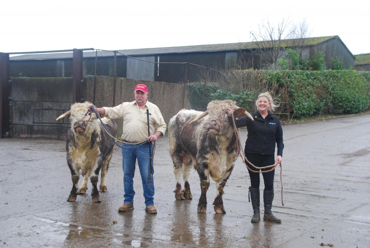 NorthFarmerMag's tweet photo. Longhorn dairy project aims to ensure a market and tell a story for produce.
https://t.co/WiW3zh5YVt https://t.co/3U6oLfxbds